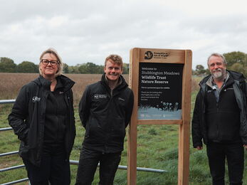 Stubbington Meadows Wildlife Trust Nature Reserve